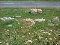 ERG0107.webp