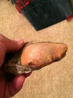 Tooth 2.webp