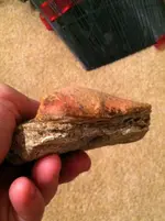 Tooth 3.webp