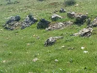 ERG0109.webp
