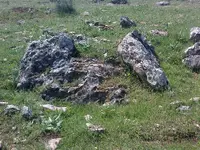 ERG0110.webp