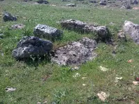 ERG0111.webp