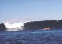 reef_road_christmas_swell_89.webp