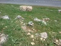 ERG0112.webp