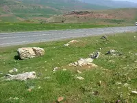 ERG0113.webp
