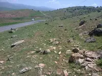 ERG0115.webp