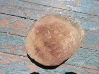 20130623_120305.webp