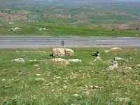 ERG0116.webp