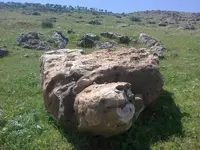 ERG0119.webp