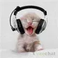 vh0l70q404b3y4l9.webp