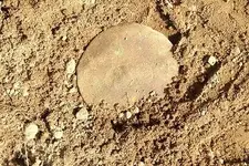 GW Button 008.webp