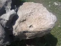 ERG0126.webp