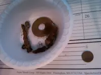 IMG01184-20130609-1845.webp
