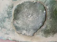 DSCN4784.webp