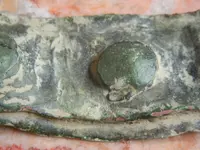 DSCN4785.webp