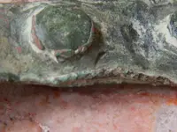 DSCN4786.webp
