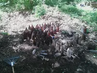Bolttle Pick Day 1.webp Bolttle Pick Day 1.webp