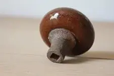 knob.webp