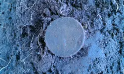 IMAG0424.webp