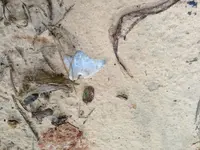 image-4205818038.webp
