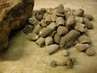 DSCF0792.webp