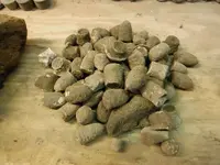 DSCF0786.webp