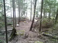 2013-07-02 09.02.11.webp