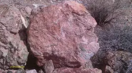 IMAG1624.webp