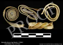 Gold Ribbon Torcs + Twist 0604300001-4  GP1 - postcard copy.webp