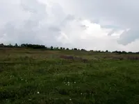 DSCN0354.webp