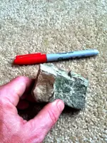 Hammer 6.webp