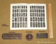 11fslugpl.webp
