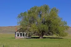 035_6_fused.webp