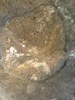 ERG0046.webp
