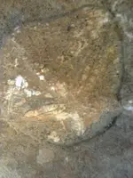 ERG0047.webp
