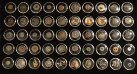 Buttons.webp