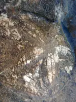 ERG0054.webp