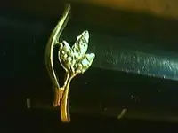gold 15 of 2013.webp