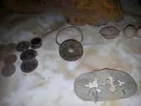 20130616_193113.webp