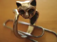1st. Silver Ring 001.webp