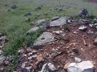 ERG0068.webp