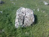ERG0069.webp