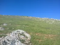 ERG0071.webp