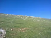 ERG0072.webp