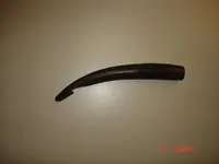 DSC00606.webp