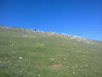 ERG0074.webp