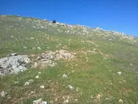 ERG0075.webp
