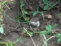 100_0655.webp