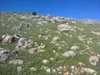 ERG0076.webp