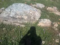 ERG0077.webp